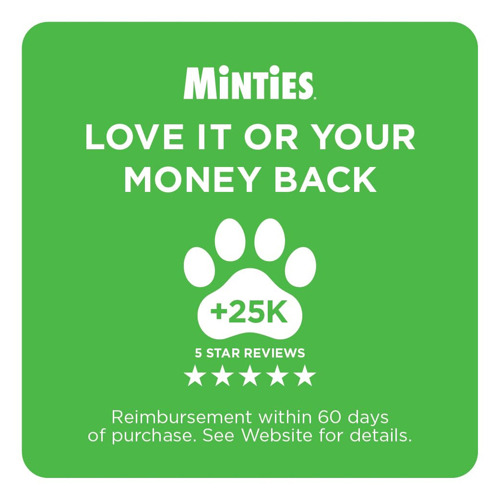 Mint Dental Chews for Dogs 36 Ct G227719