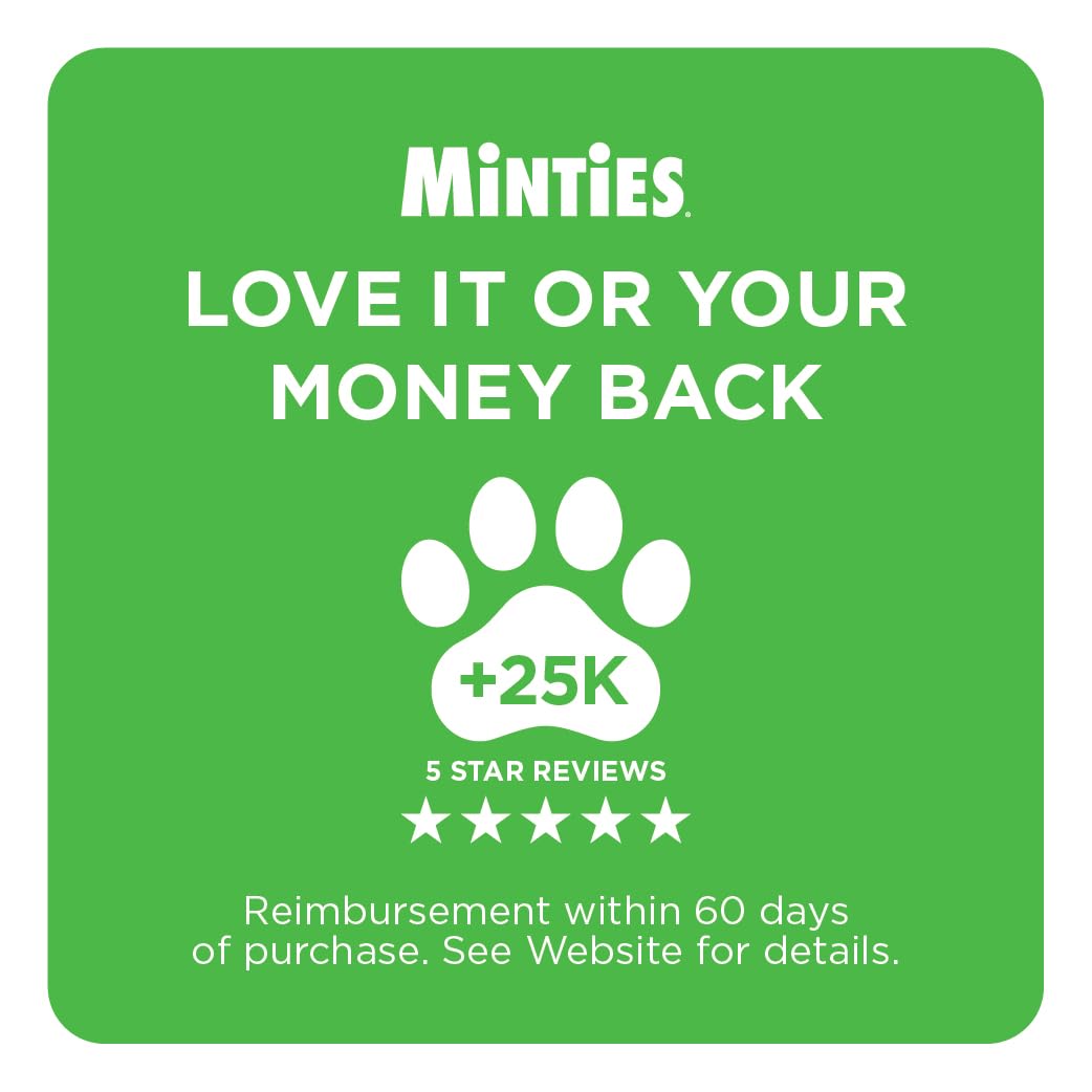 Mint Dental Chews for Dogs 36 Ct G227719