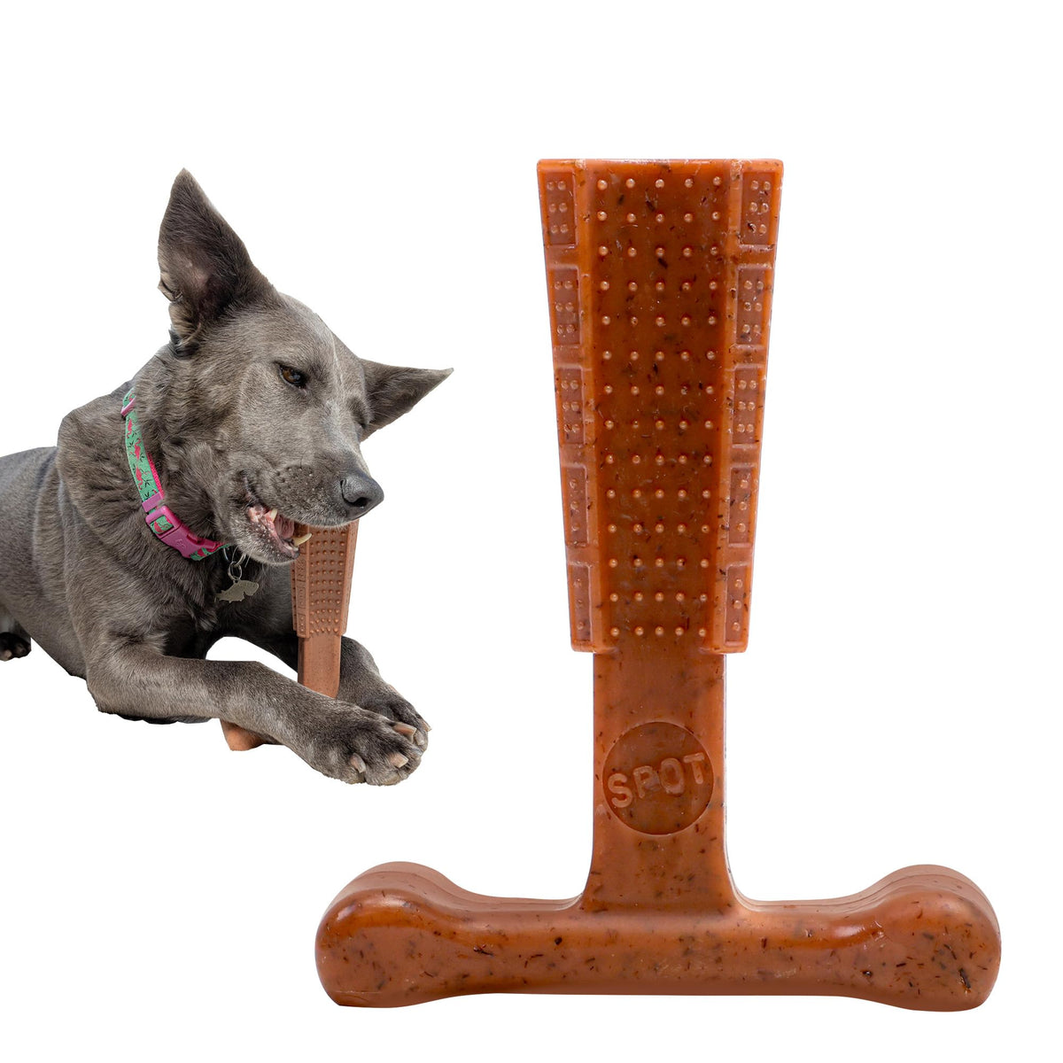 Beef Dog Chew X881