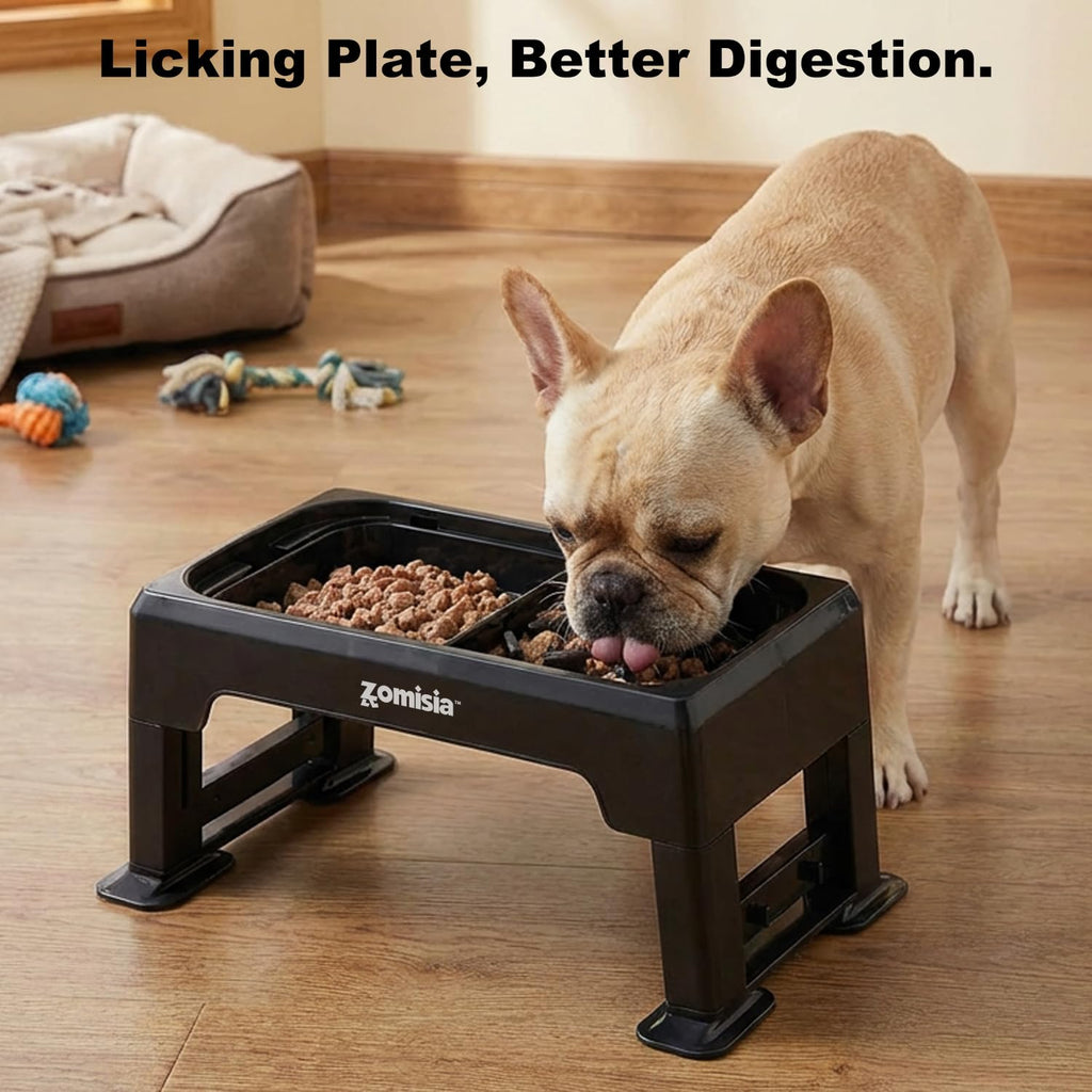Elevated Dog Bowls with No Spill Water Bowl W835560