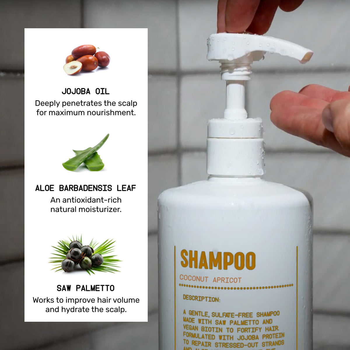 Shampoo and Conditioner Bundle Coconut Apricot 32 oz X6749