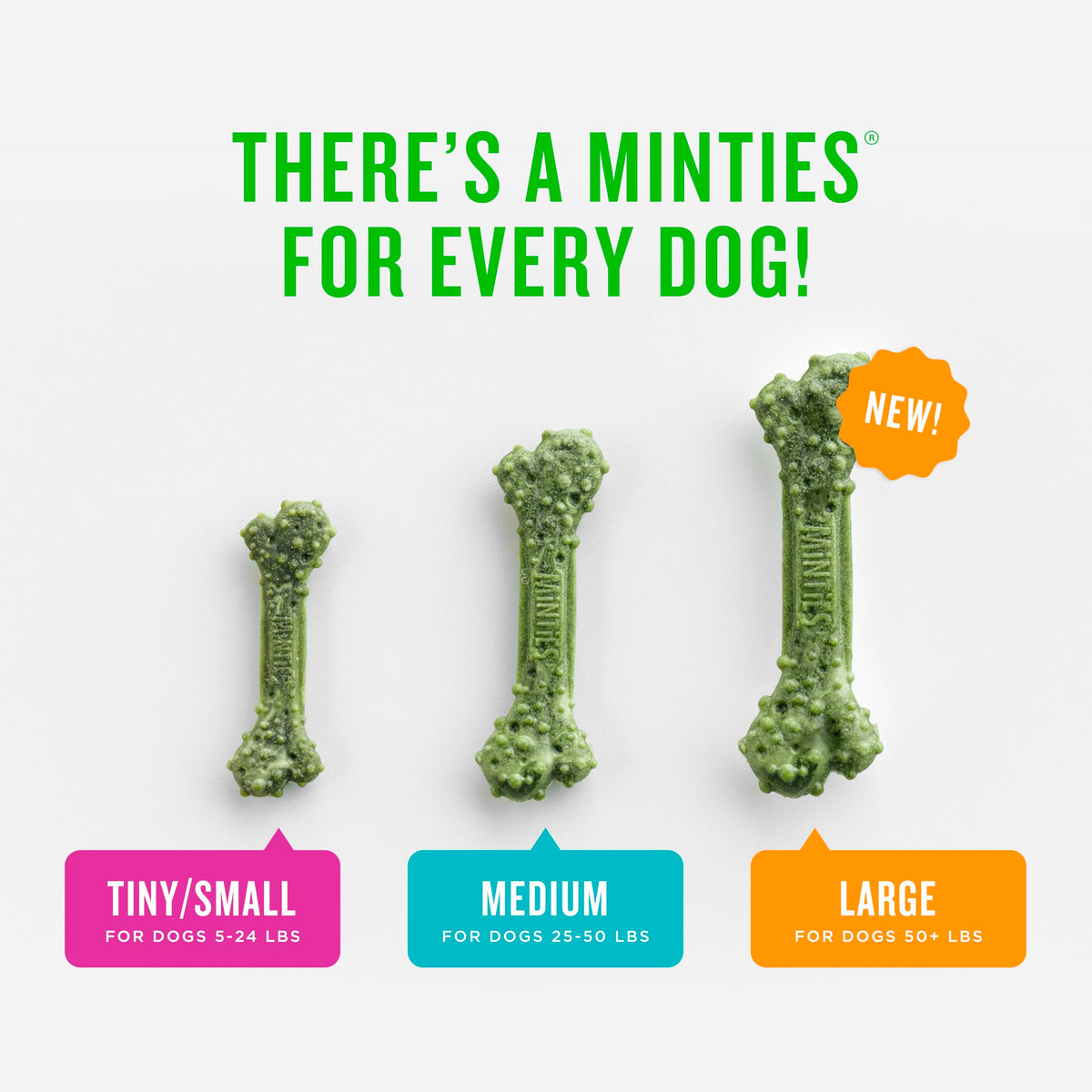 Mint Dental Chews for Dogs 36 Ct G227719