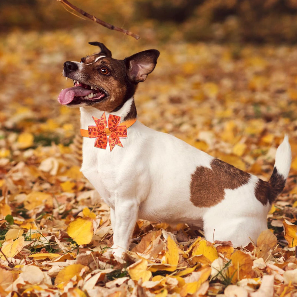 100 Pcs Fall Dog Bow Ties M553837