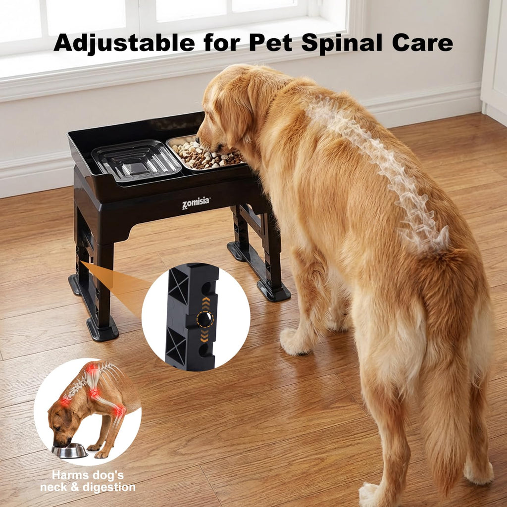 Elevated Dog Bowls with No Spill Water Bowl W835560