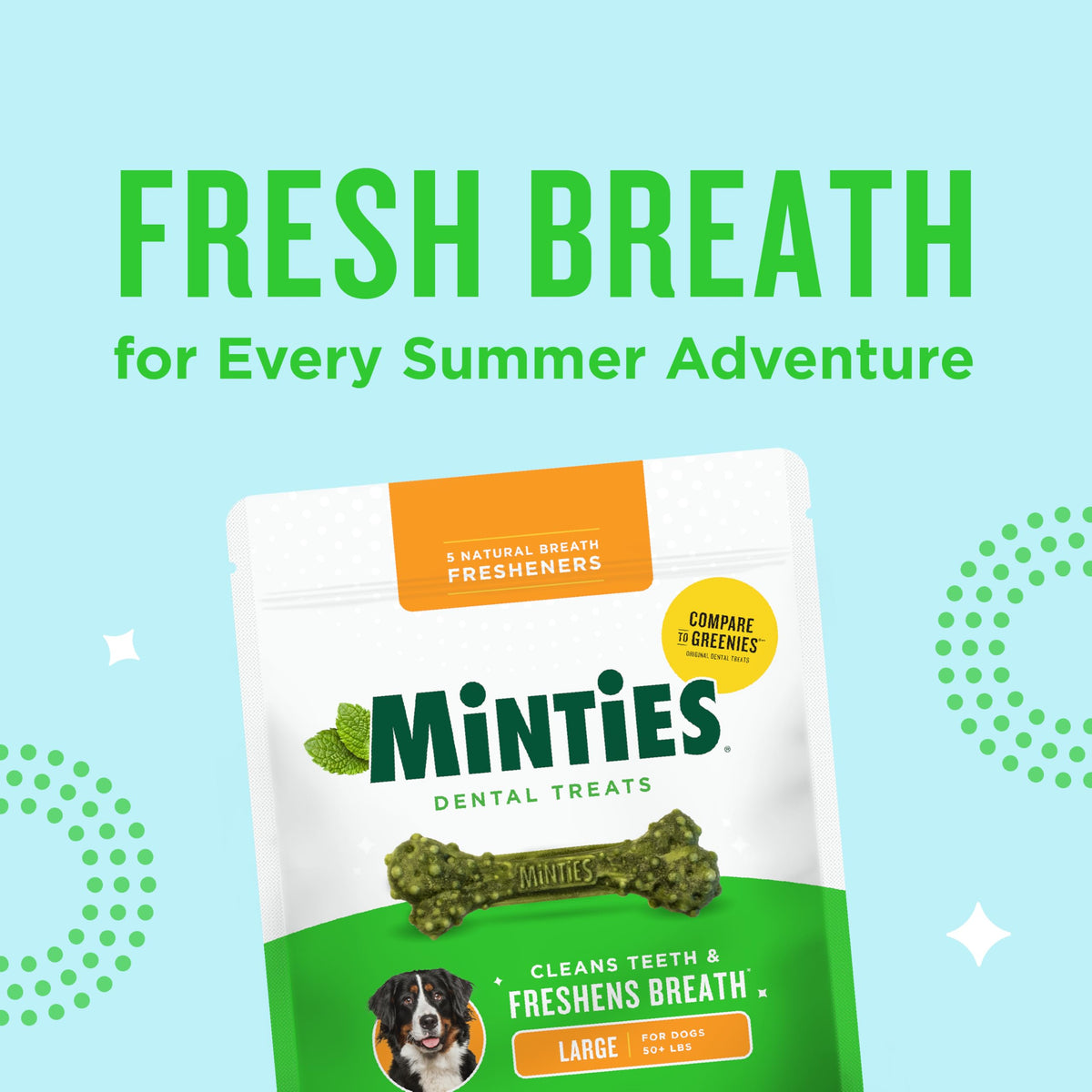 Mint Dental Chews for Dogs 36 Ct G227719