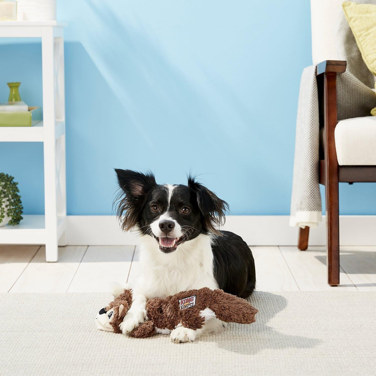 2 Pack Stuffing-Free Plush Dog Toy with Knotted Ropes & Squeaker A3110