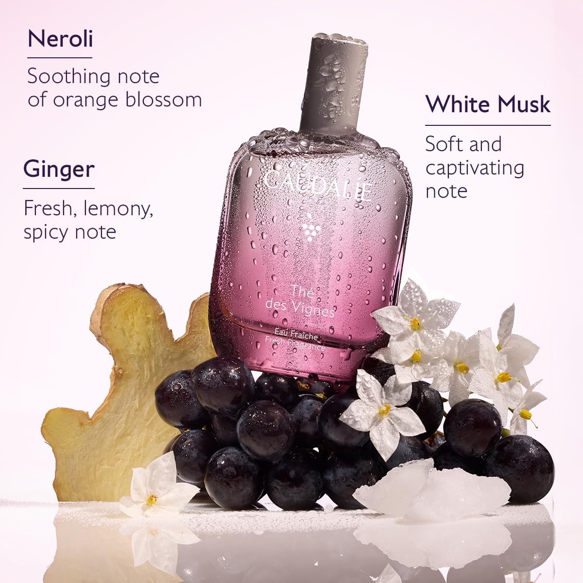 Fresh Fragrance 50 mL P333914