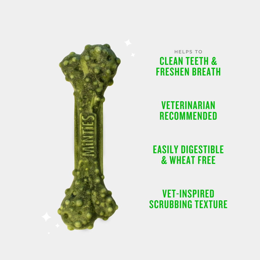 Mint Dental Chews for Dogs 36 Ct G227719