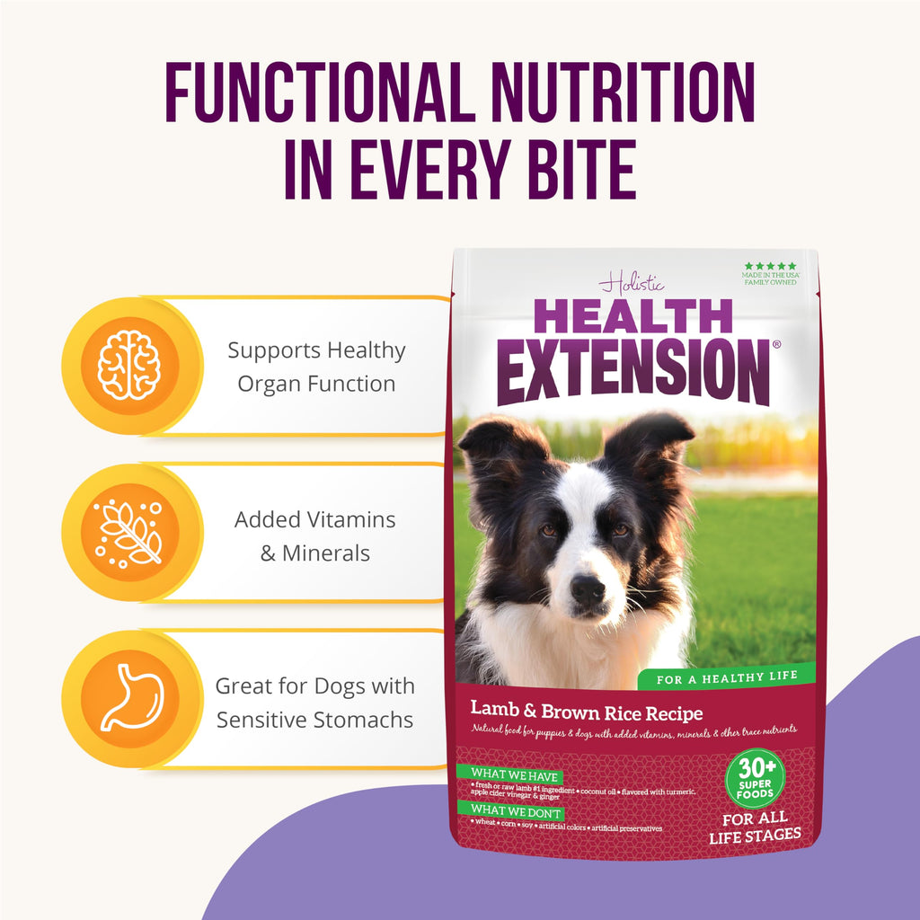 Lamb & Brown Rice Dry Dog Food with Probiotics 1 lb K975