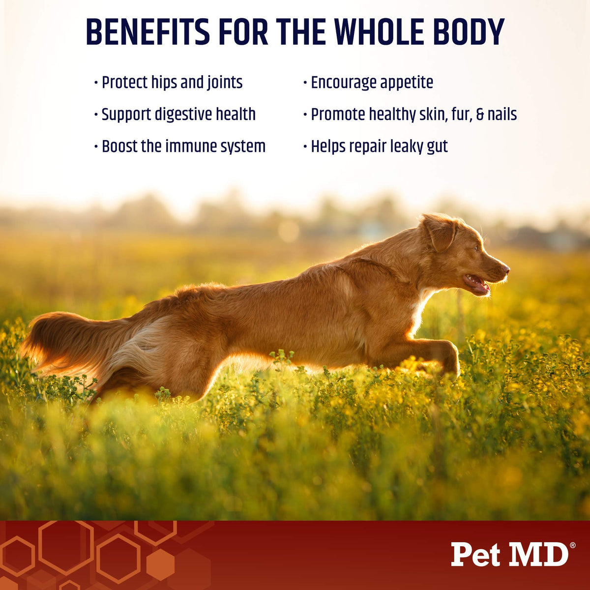 Bone Broth Powder Supplement & Pill Paste A96475