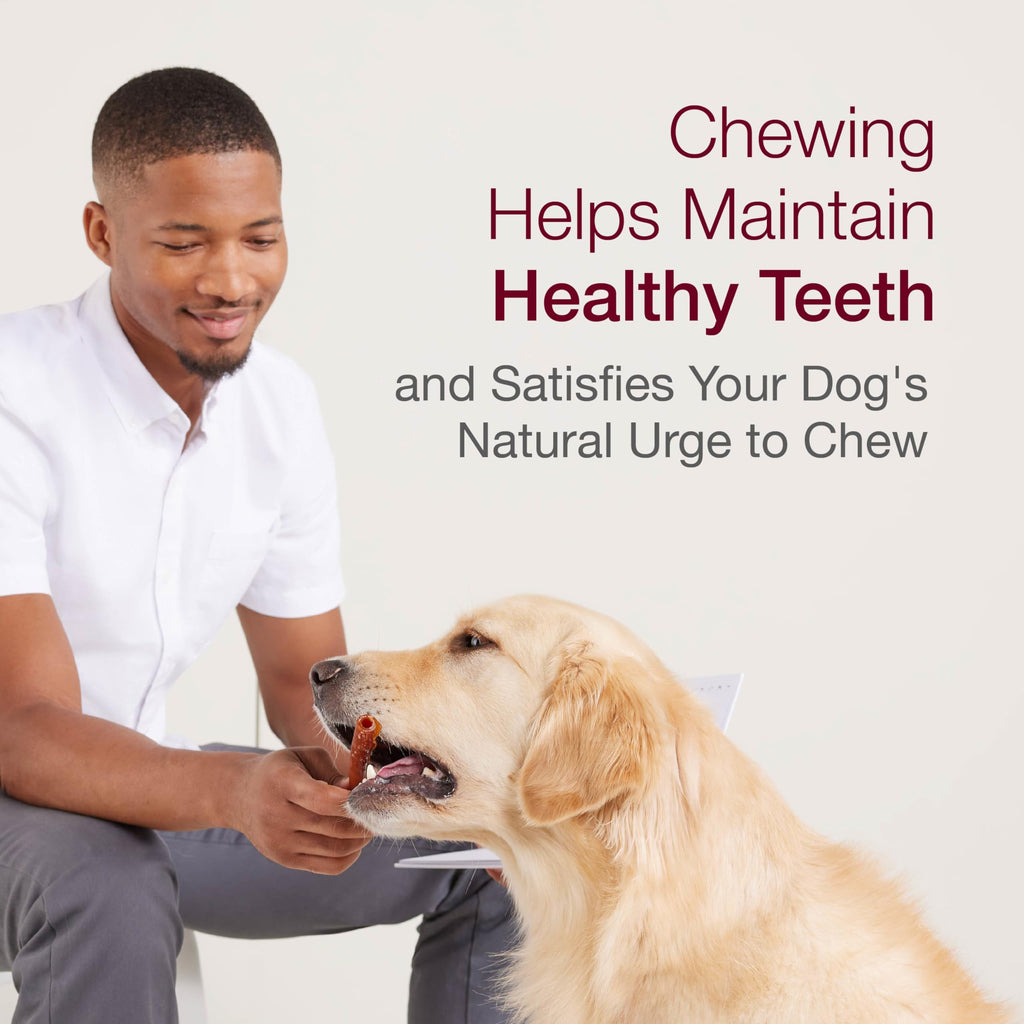 Medium Rawhide-Free Dog Treat with Peanut Butter, 4 Count T5867