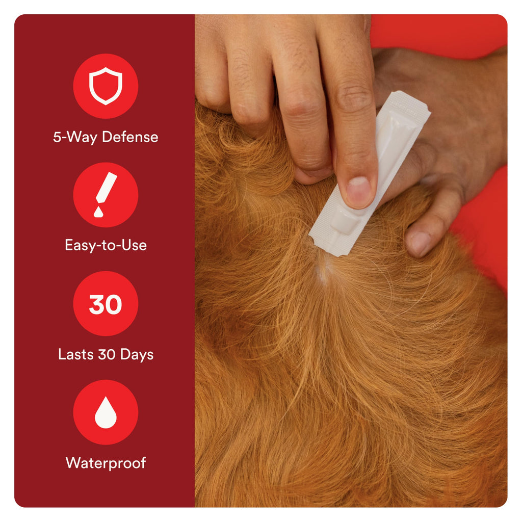 Flea and Tick Prevention for Small Dogs 6 Doses J236024