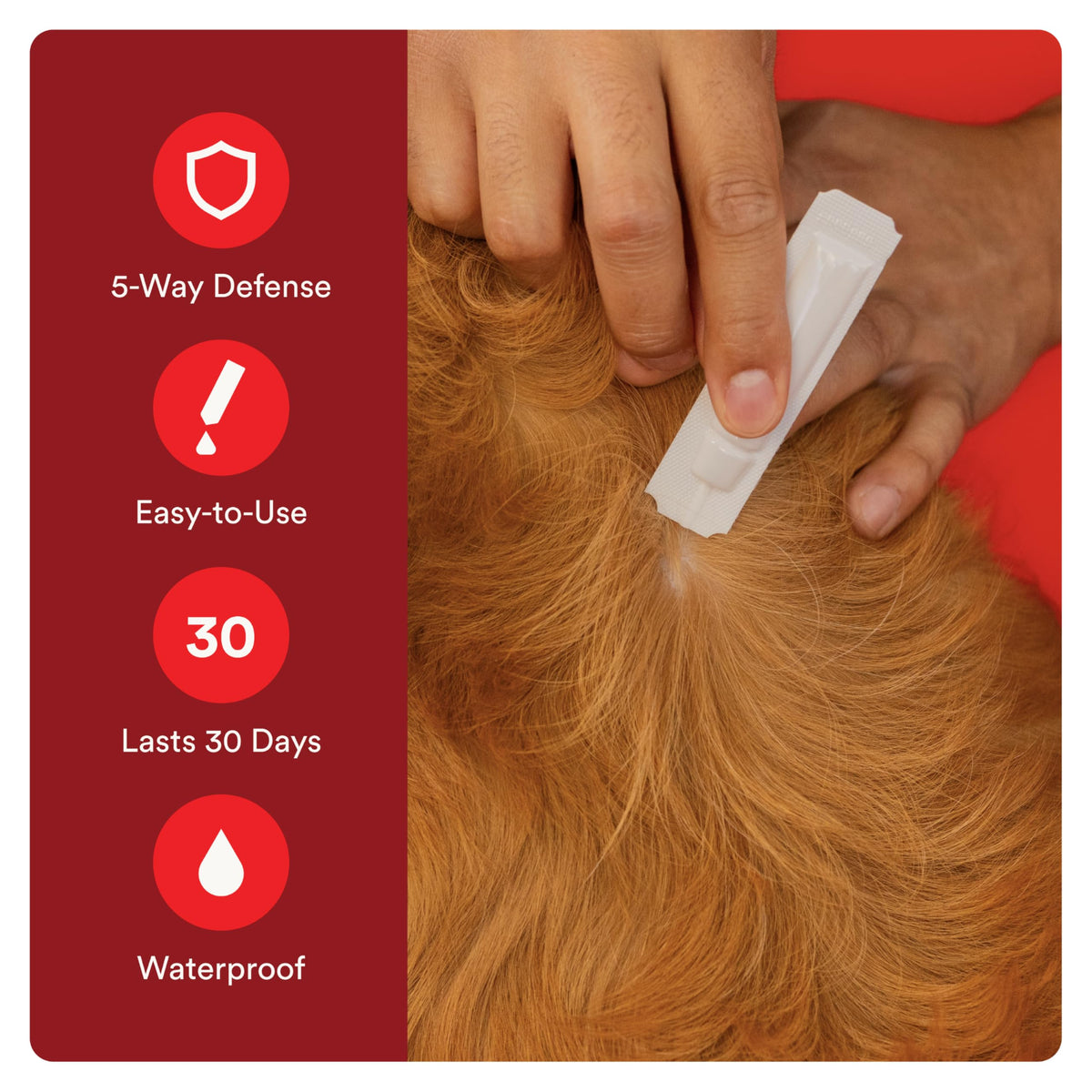 Flea and Tick Prevention for Small Dogs 6 Doses J236024