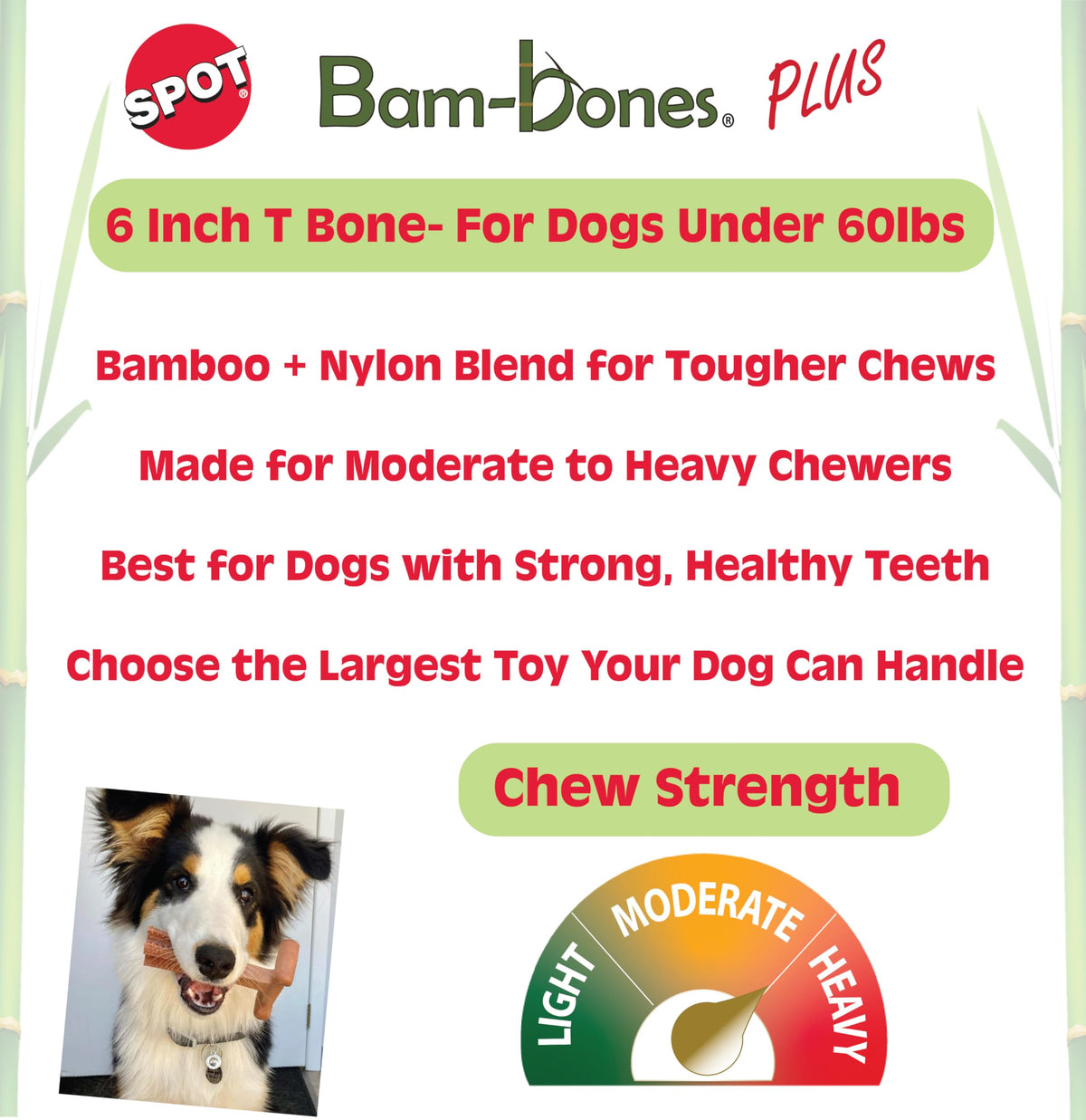 Beef Dog Chew X881