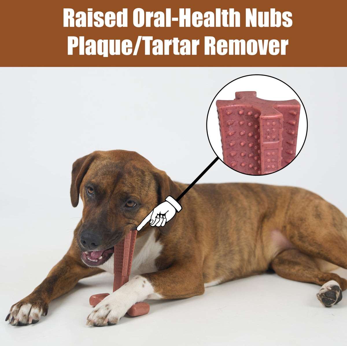 Beef Dog Chew X881