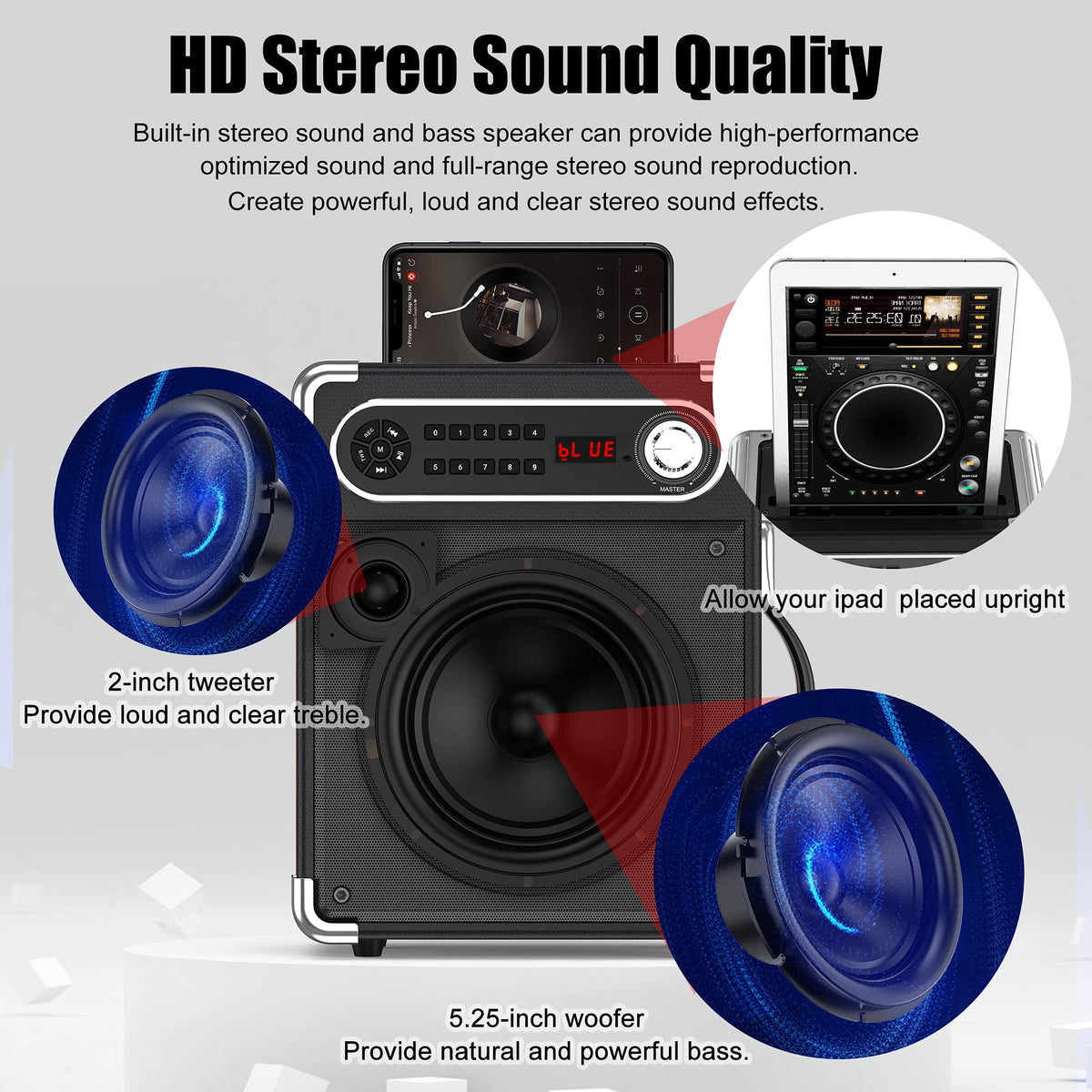 Bluetooth Speaker with Two Wireless Microphones T176
