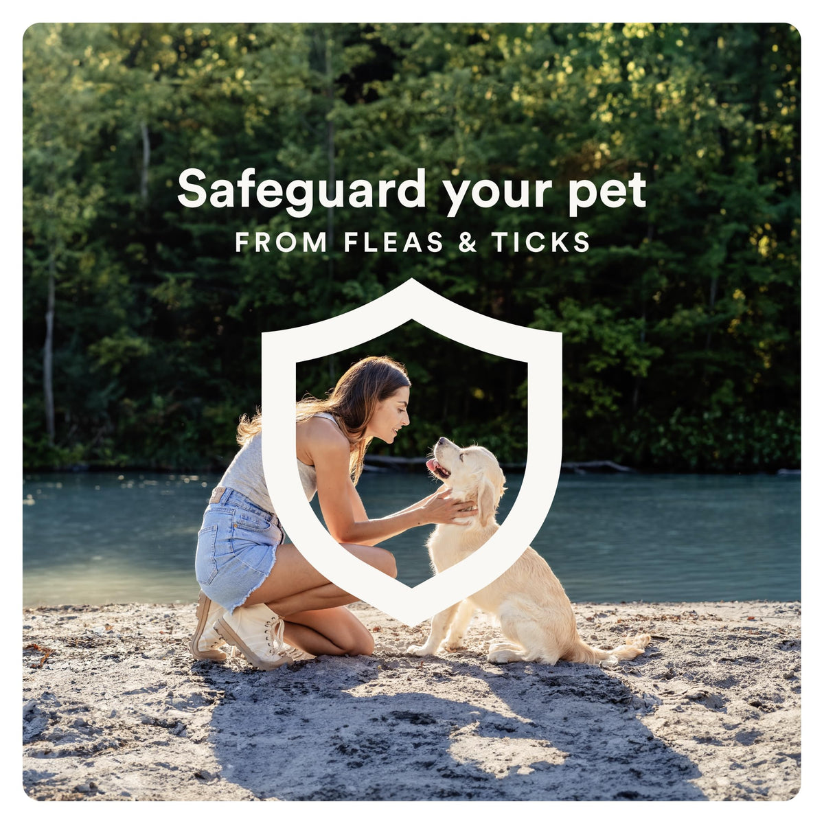 Flea and Tick Prevention for Small Dogs 6 Doses J236024