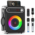 Bluetooth Speaker with Two Wireless Microphones T176