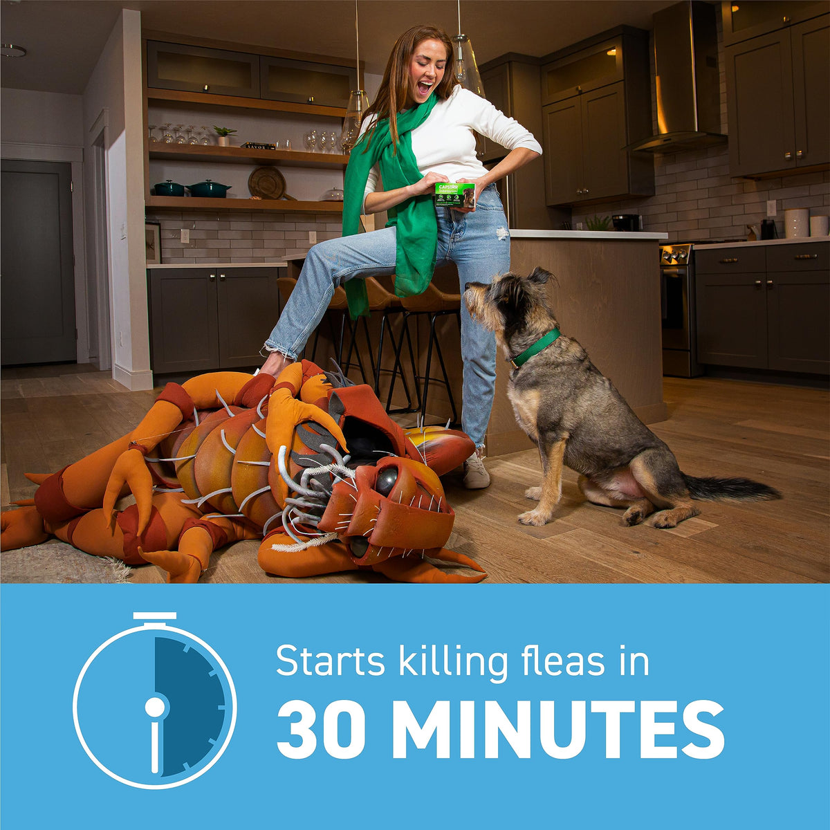 Flea and Tick Prevention for Small Dogs 6 Doses J236024