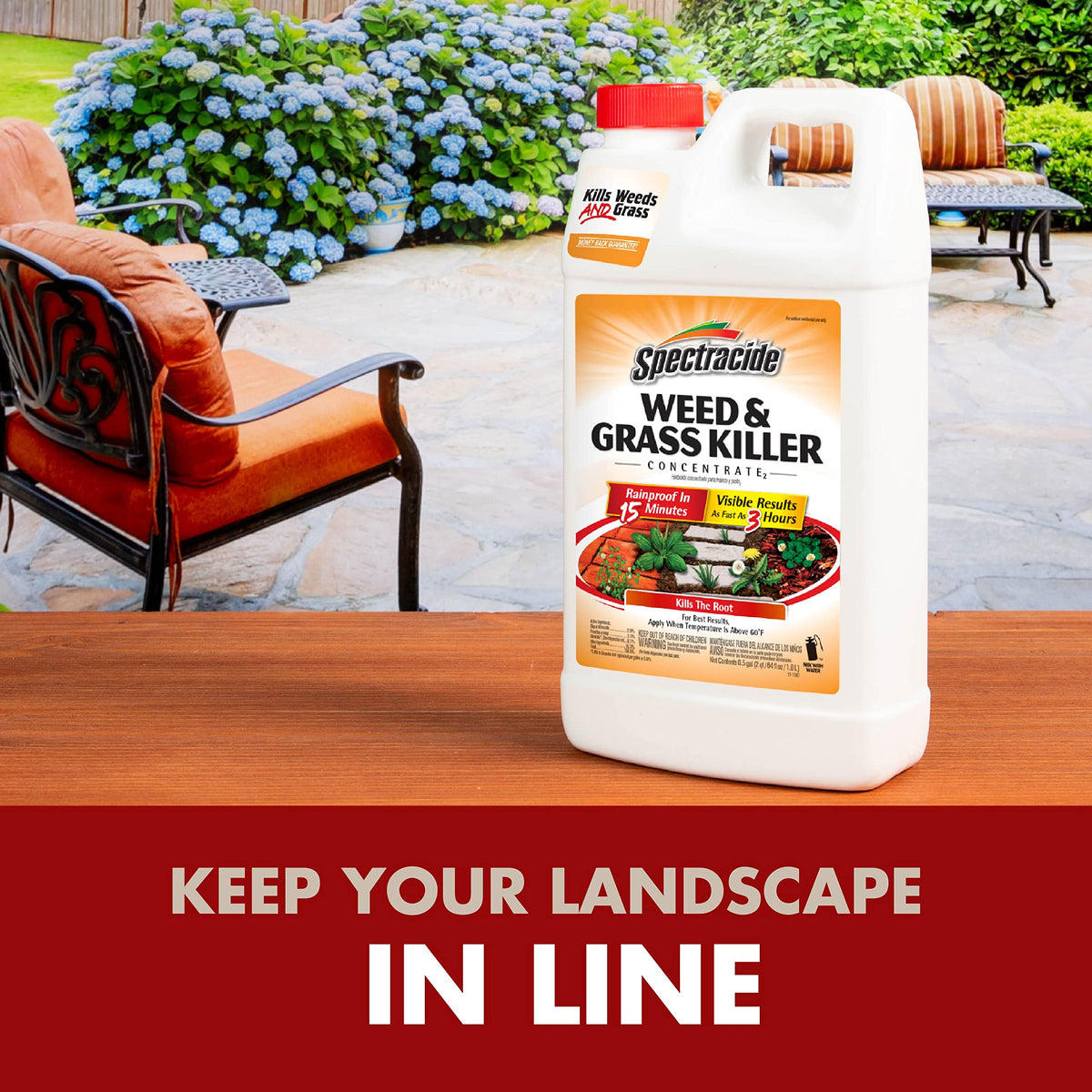 Weed & Grass Killer Concentrate 64 fl Ounce & Surfactant for Herbicides 16oz Z8209